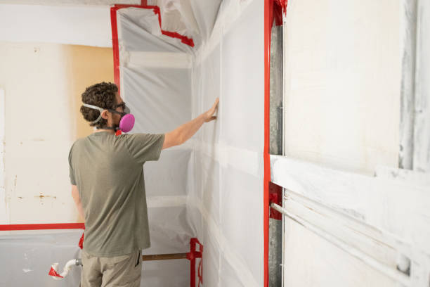 Best Asbestos and Lead Testing During Mold Inspection  in Chelsea, MA