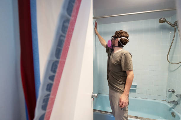 Best Air Quality Testing for Mold Spores  in Chelsea, MA