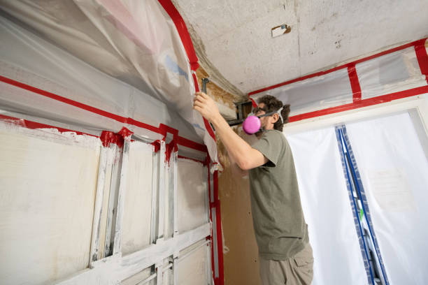 Best Forensic Mold Investigation  in Chelsea, MA