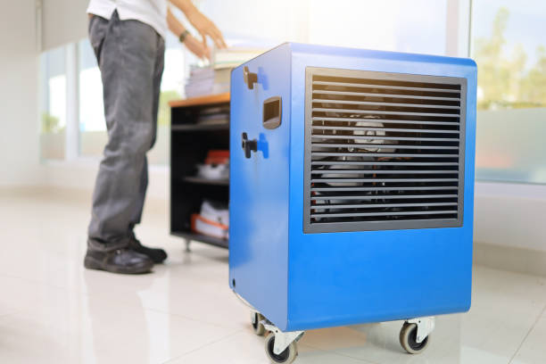 Best Environmental Consulting for Mold Prevention  in Chelsea, MA
