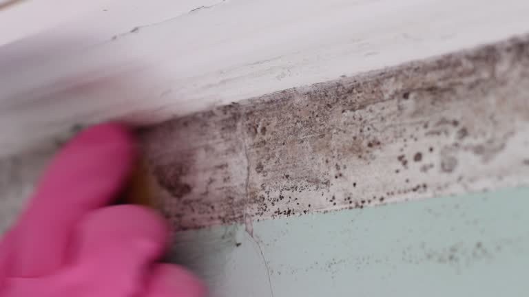 Best Indoor Air Quality Assessment  in Chelsea, MA